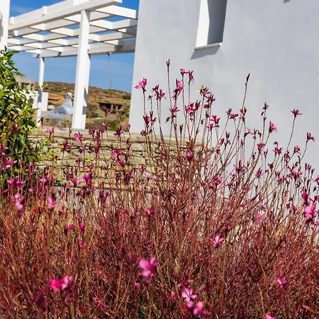 Sifnos * Faros
